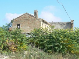 Farmhouses la Falce